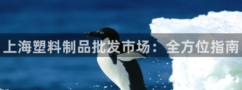 太阳gg注册/登录：上海塑料制品批发市场：全方位指南