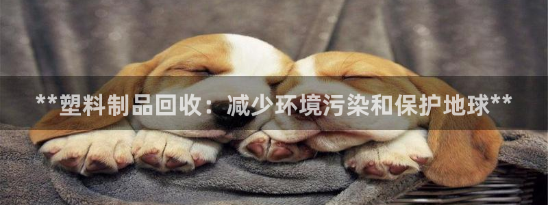 太阳集团是什么集团：**塑料制品回收：减少环境污染和保护地球