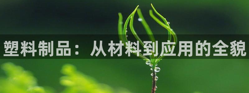 太阳成集团控股官网：塑料制品：从材料到应用的全貌