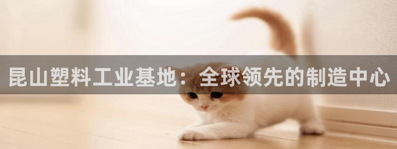 太阳成集团tyc7111cc下载手机版：昆山塑料工业基地：全