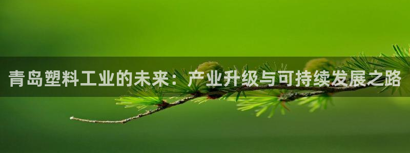 太阳成集团老板是谁：青岛塑料工业的未来：产业升级与可持续发展