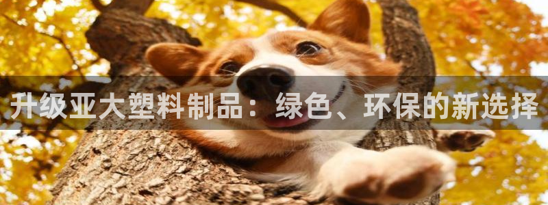 太阳集团1088vip：升级亚大塑料制品：绿色、环保的新选择