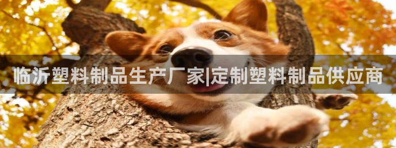 太阳gg注册平台页面：临沂塑料制品生产厂家|定制塑料制品供应