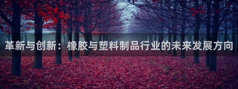 太阳成集团洗米华：革新与创新：橡胶与塑料制品行业的未来发展方