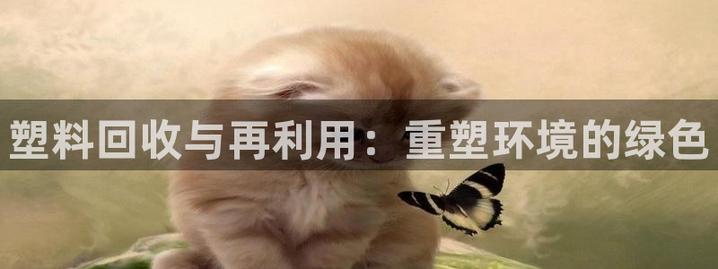 太阳成集团娱乐：塑料回收与再利用：重塑环境的绿色