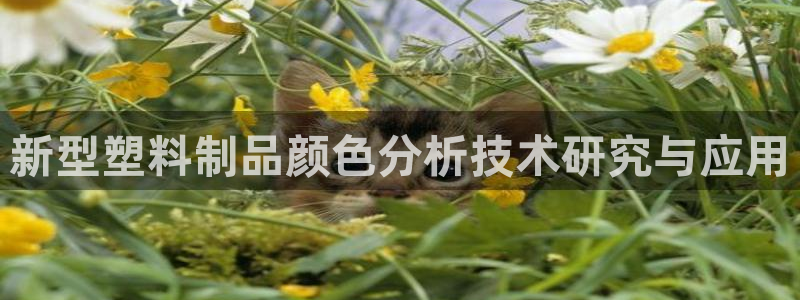 太阳集团游戏官方网址8827：新型塑料制品颜色分析技术研究与