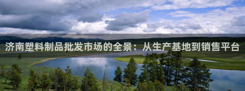 太阳诚集团有限公司是国企吗还是私企：济南塑料制品批发市场的全