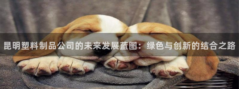 太阳c集团：昆明塑料制品公司的未来发展蓝图：绿色与创新的结合