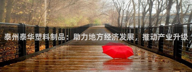 太阳集团电子游戏宙斯：泰州泰华塑料制品：助力地方经济发展，推