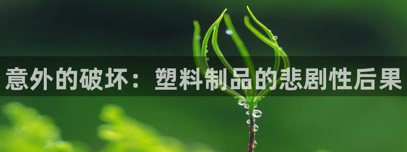 太阳集团城网官方入口：意外的破坏：塑料制品的悲剧性后果