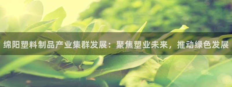 太阳成集团控股：绵阳塑料制品产业集群发展：聚焦塑业未来，推动