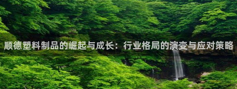 太阳成集团tyc234cc主页网址：顺德塑料制品的崛起与成长
