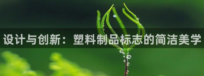太阳集团董事长是谁：设计与创新：塑料制品标志的简洁美学
