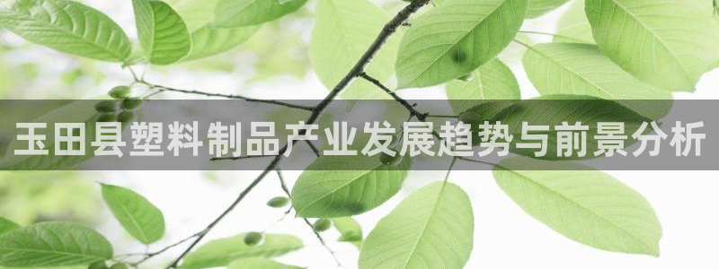太阳成集团tyc234cc主页网站：玉田县塑料制品产业发展趋