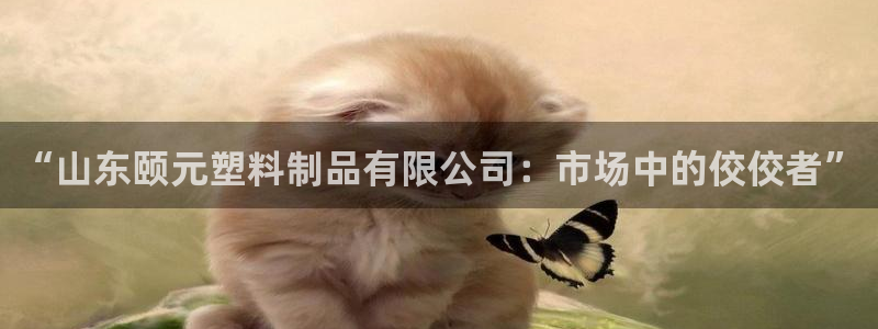 太阳成集团洗米华：“山东颐元塑料制品有限公司：市场中的佼佼者
