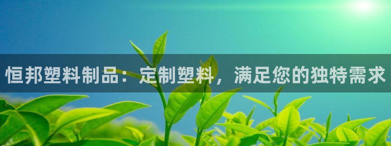 太阳诚集团：恒邦塑料制品：定制塑料，满足您的独特需求