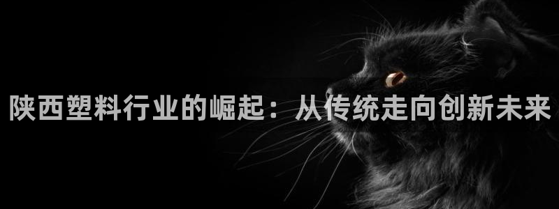 太阳集团城网址古天乐：陕西塑料行业的崛起：从传统走向创新未来
