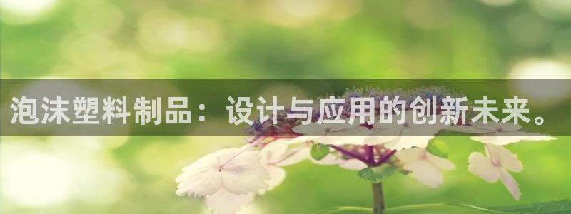 太阳集团官网导航下载：泡沫塑料制品：设计与应用的创新未来。