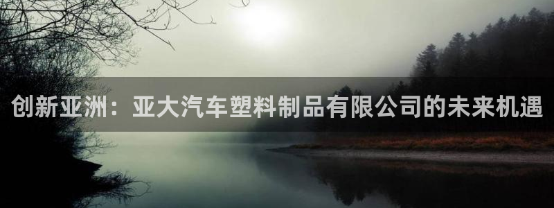 太阳游戏城：创新亚洲：亚大汽车塑料制品有限公司的未来机遇