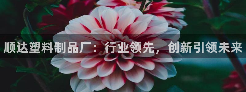 太阳成娱乐app下载：顺达塑料制品厂：行业领先，创新引领未来